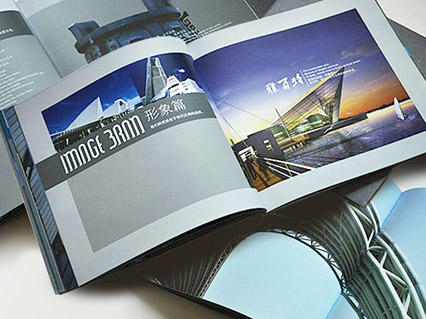醫(yī)療、日化、服務(wù)畫冊設(shè)計(jì)印刷